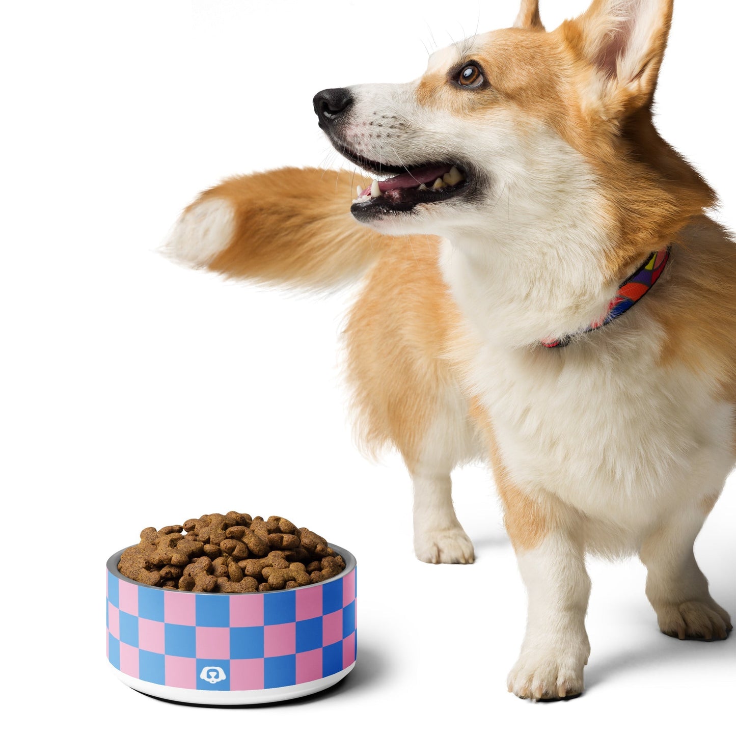 Checker Retro Shade 32oz Dog Bowl - Dog Bowls & Feeders - Wuforia