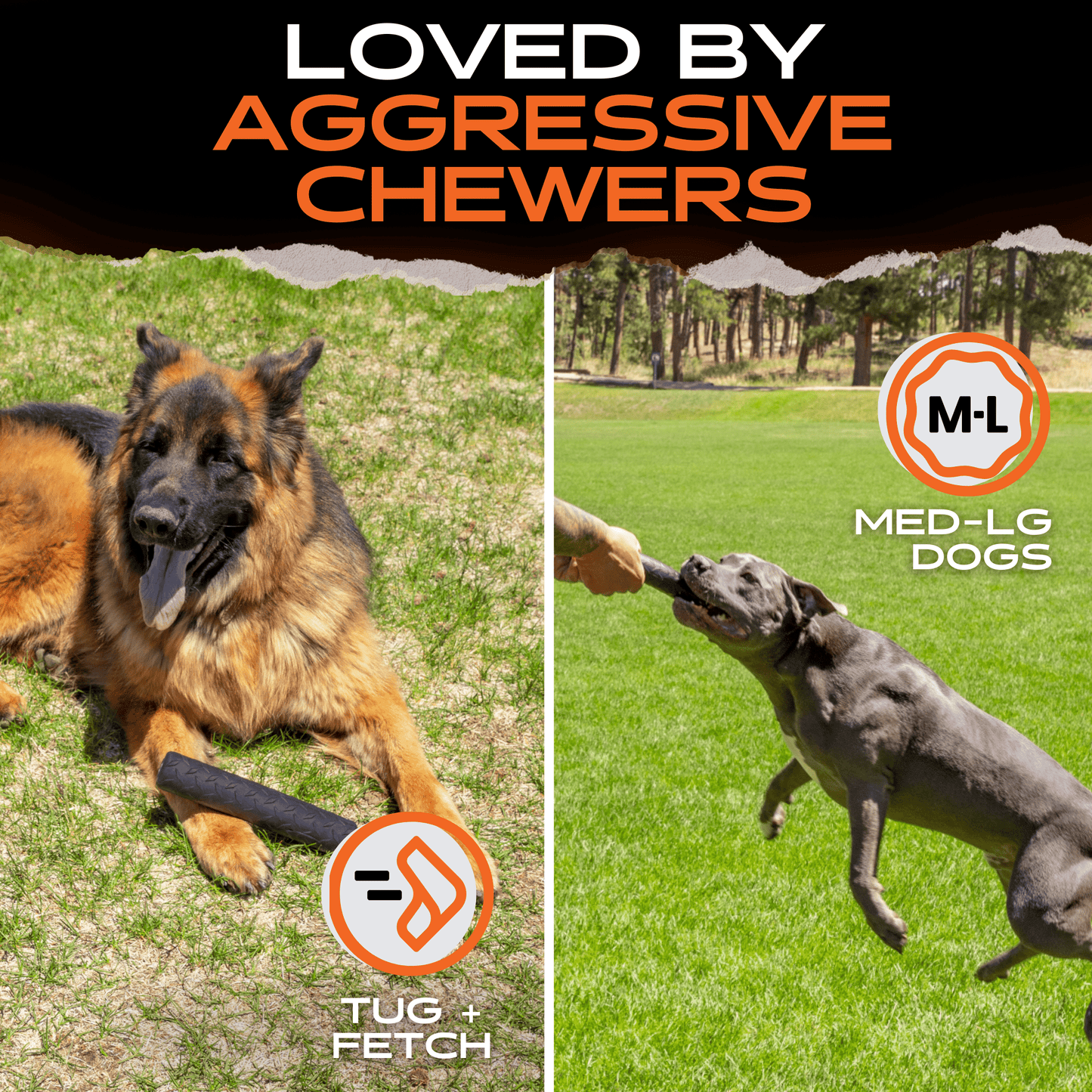 Monster K9 Chew Stick Dog Toy ๐ฆด