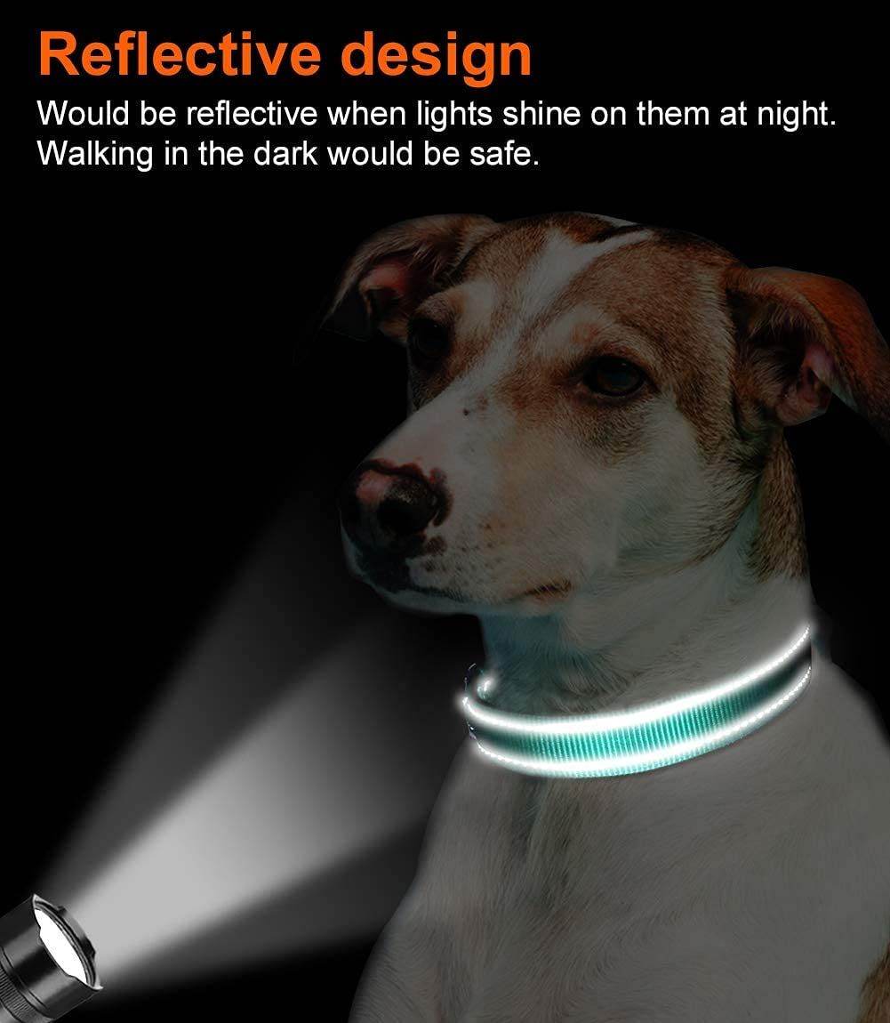 Purrfect Pet Kingdom Comfortable Reflective Collar for Dogs Purrfect Pet Kingdom