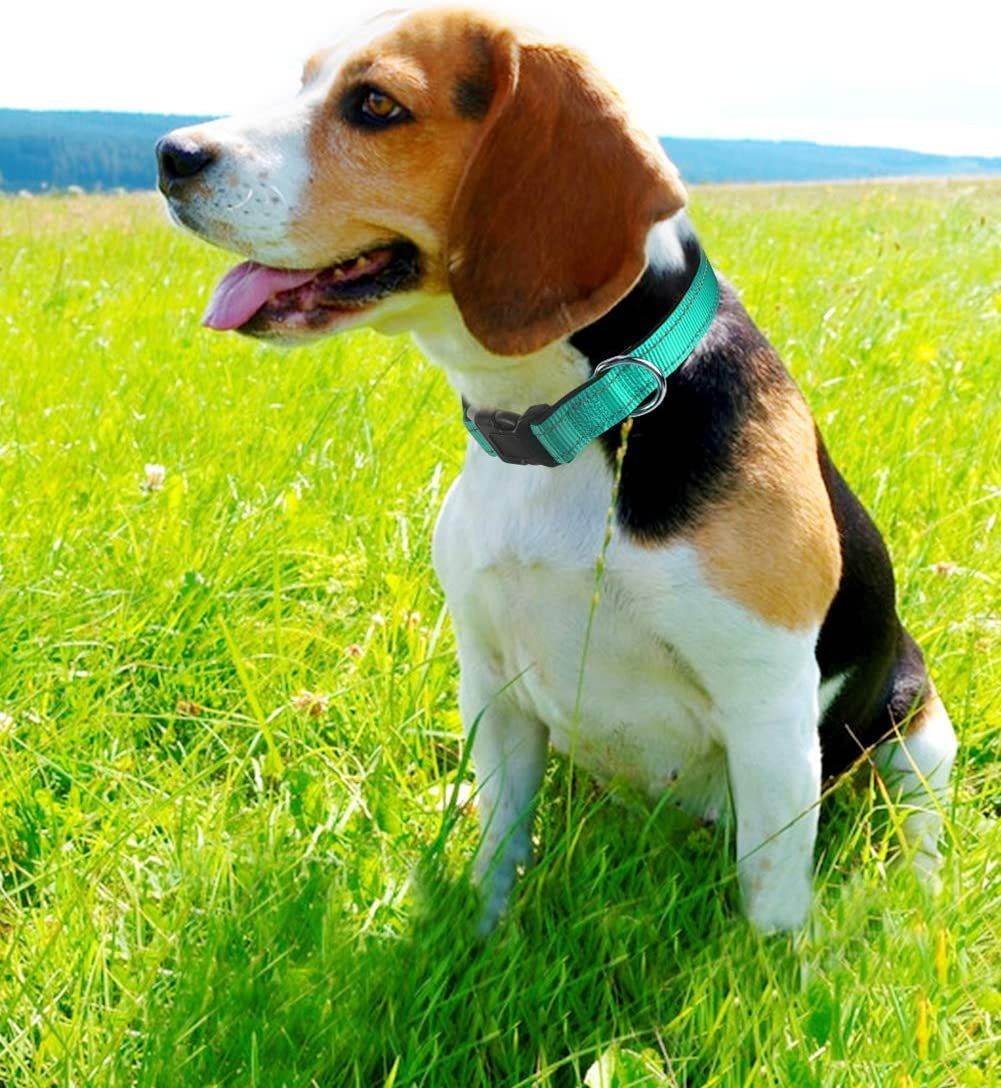 Purrfect Pet Kingdom Comfortable Reflective Collar for Dogs Purrfect Pet Kingdom