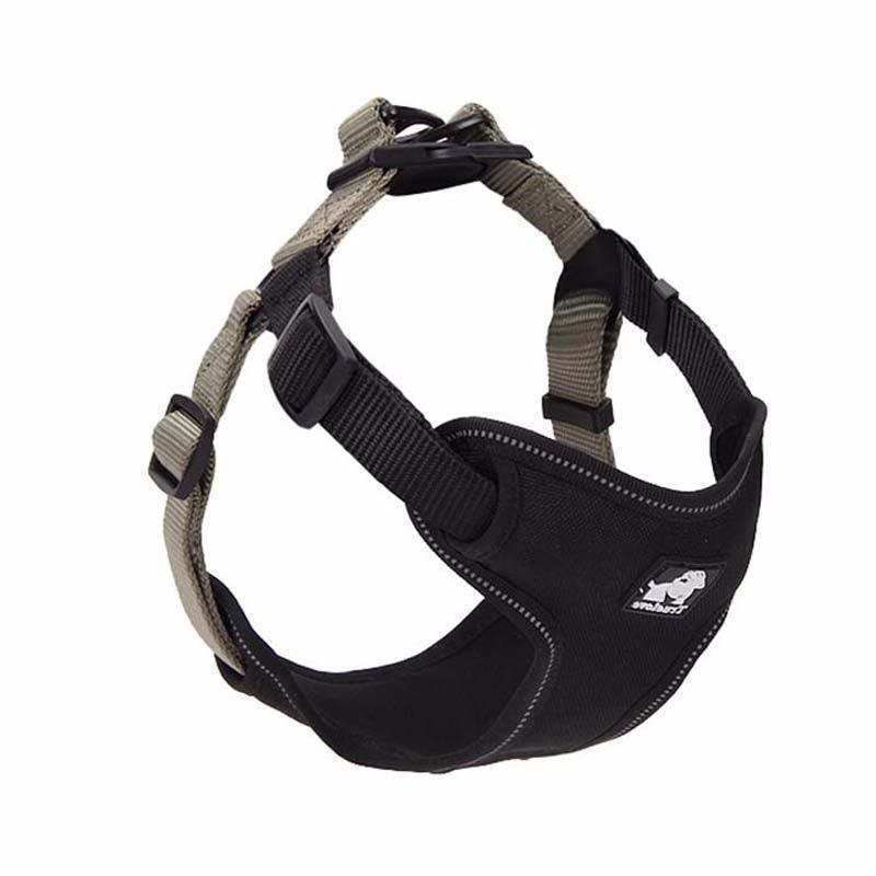 Comfortmesh Dog Leash Collar: Convenient And Stylish Walking Companion For Dogs Of All Sizes