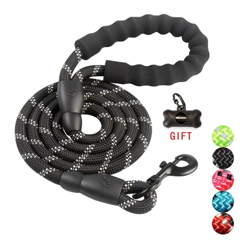 Comfy Control Dog Walking Leash ๐ถ - Purrfect Pet Kingdom