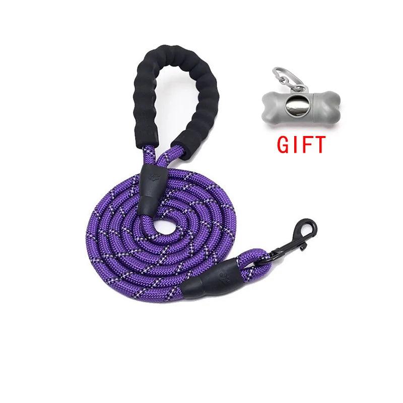 Comfy Control Dog Walking Leash ๐ถ - Purrfect Pet Kingdom