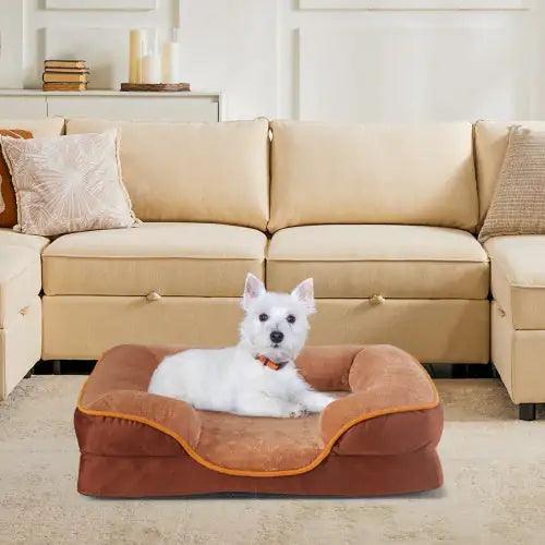 Dog Bed Orthopedic Memory Foam Medium ComfyPet ๐๏ธ