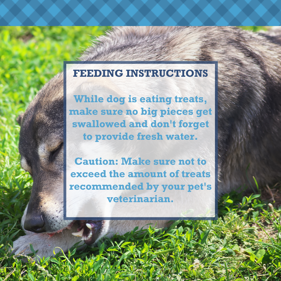 Feeding instructions for premium pork chews for dogs by Purrfect Pet Kingdom with a friendly dog enjoying a treat