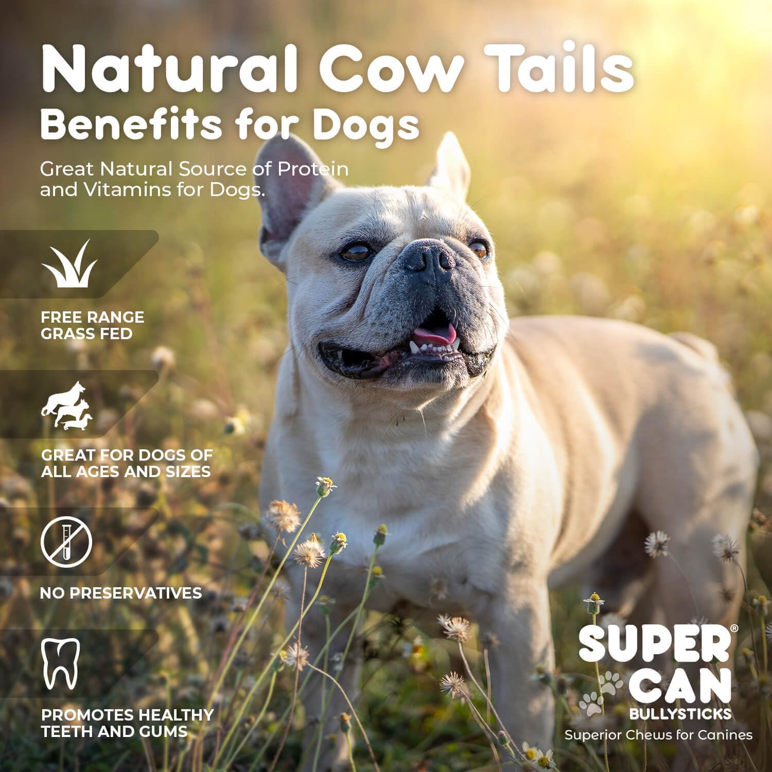 12" Cow Tails for Dogs (10 pcs) - Purrfect Pet Kingdom