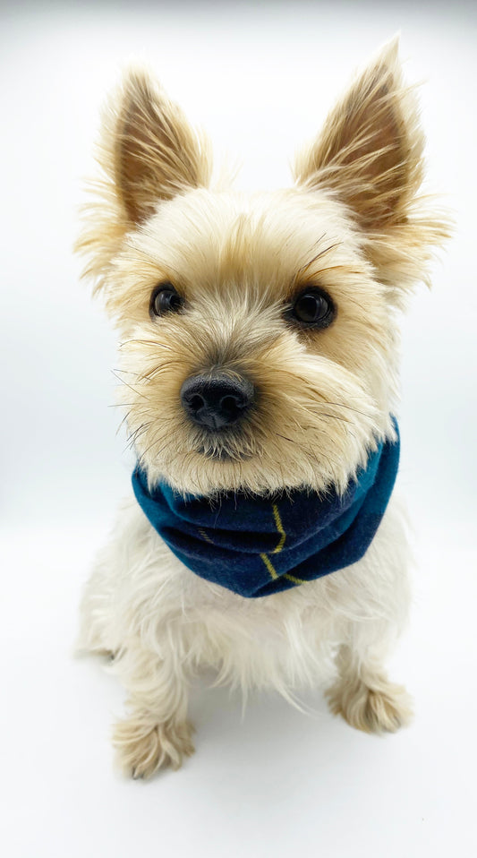BESPOKE PAWS cozy dog snood for winter in navy blue on a small dog with fluffy fur