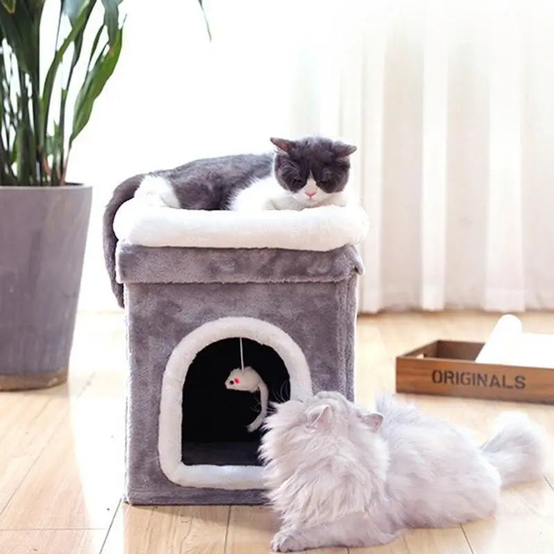 Cozy Retreat Pet Haven elevated perch and royal shelf with two cats resting and playing indoors