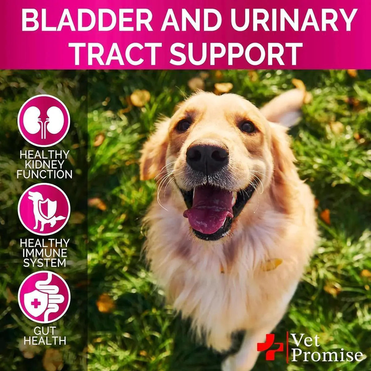 Cranberry Dog UTI & Bladder Control Chews š« - Purrfect Pet Kingdom