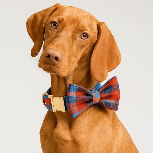 Midnight Copper Plaid Adjustable Dog Harness and Leash Bund