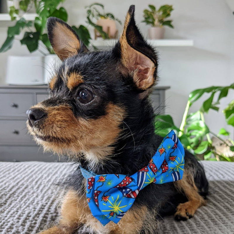 Firecrackers Blue Pet Bow Tie - 2 Sizes