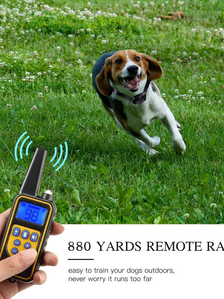 800m Digital Dog Training Collar - Premium LCD Control System ๐ฑ