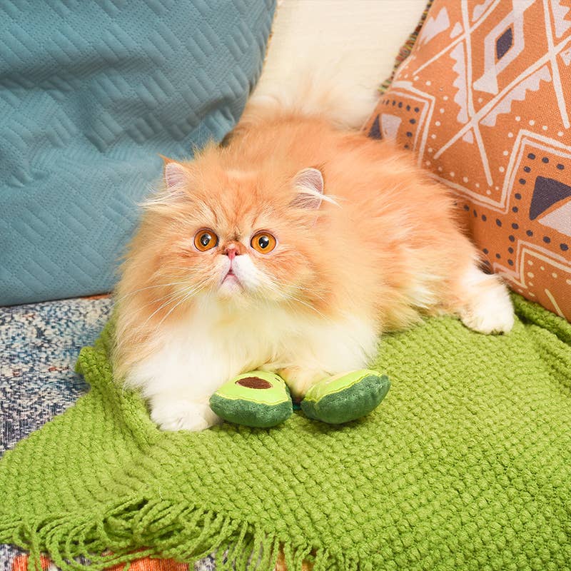 Crazy Catcher Avocado Cat Toy Set - 2 Pc