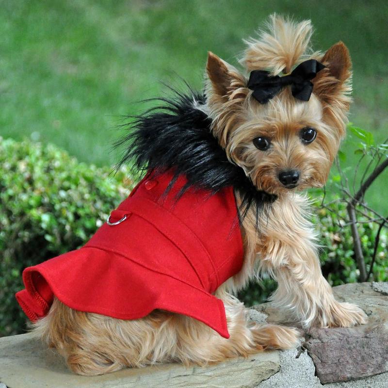 Wool Blend Red Faux Fur Collar Classic Dog Harness Coat with matching Leash