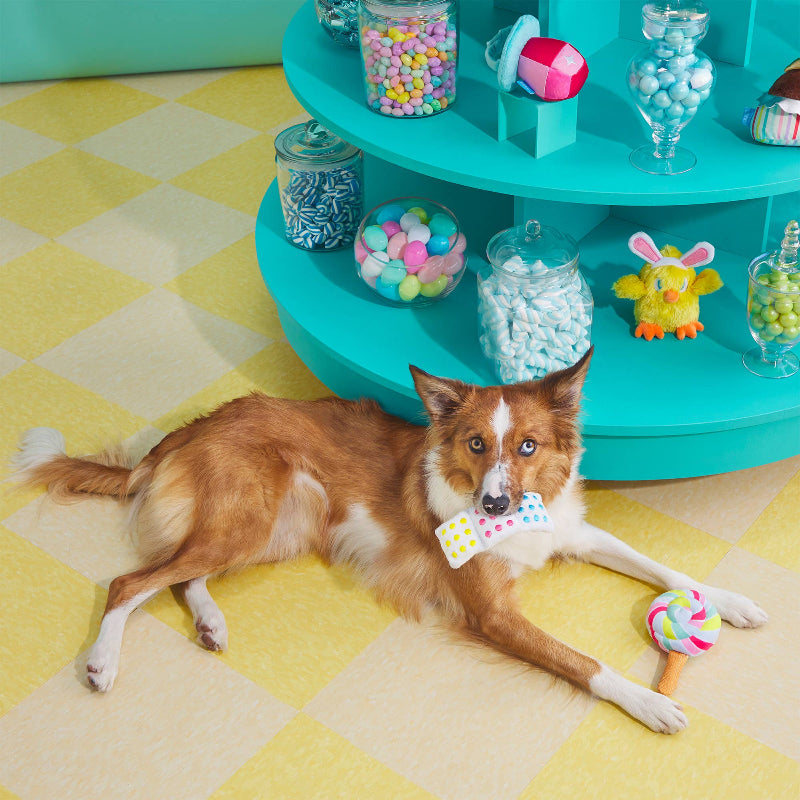 Lolly Palooza Plush Dog Toy Set - 2 Pc