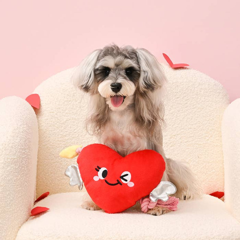 Woof Love Heart & Arrow Rope Plush Pet Toy