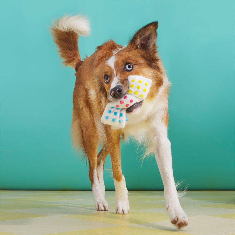 Lolly Palooza Plush Dog Toy Set - 2 Pc