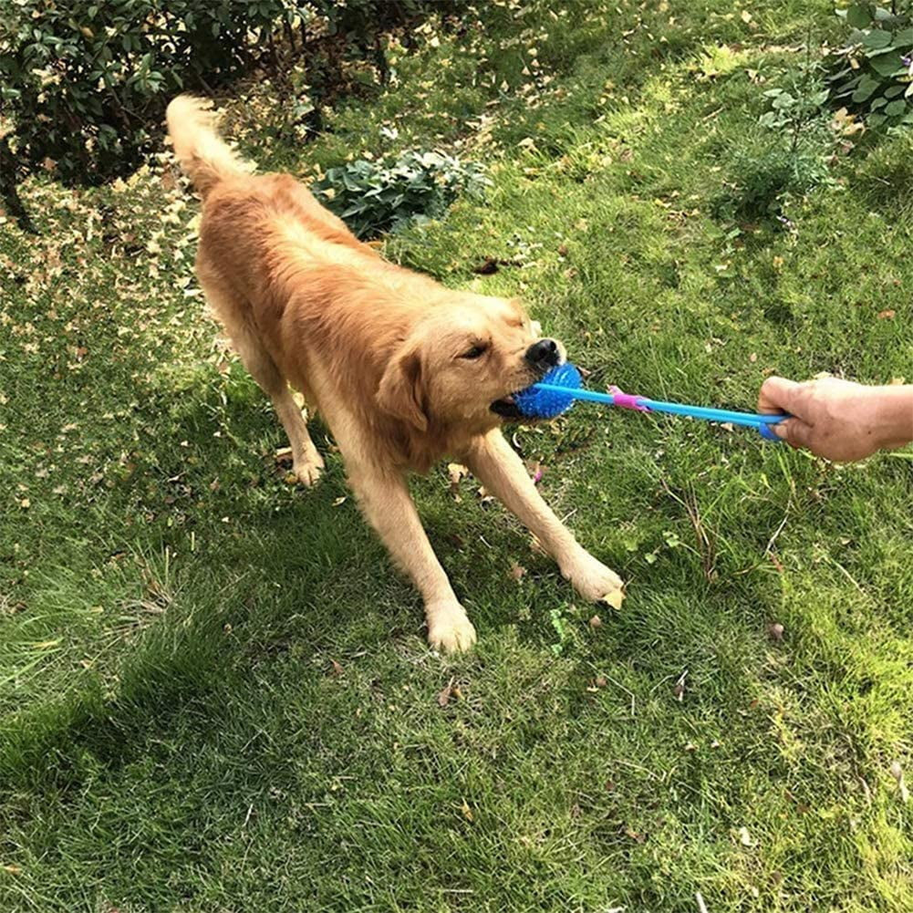 Durable Dog Toy Ball with Squeaker – Teeth Cleaning, Chew - Resistant, High Bounce Toy for Medium Dogs - Elevate Marketplace