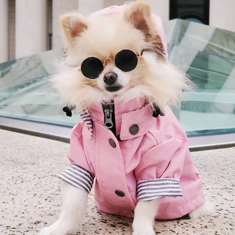 High Quality Waterproof Dog Coat - Premium All-Weather Protection ๐ง๏ธ