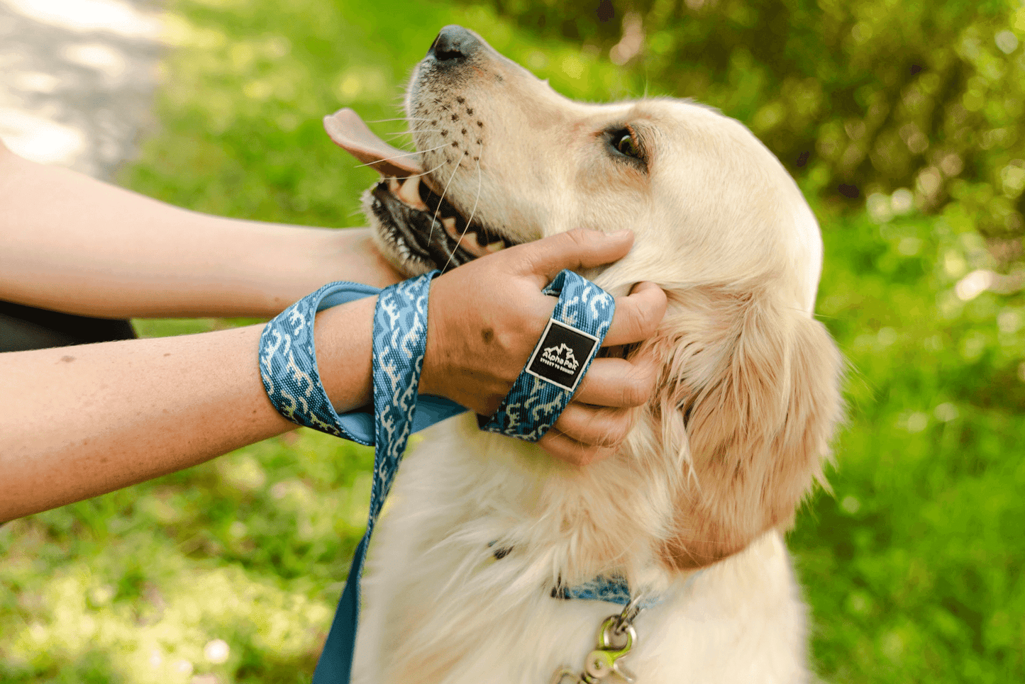 Designer blue dog leash for large dogs by Purrfect Pet Kingdom held by person with golden retriever