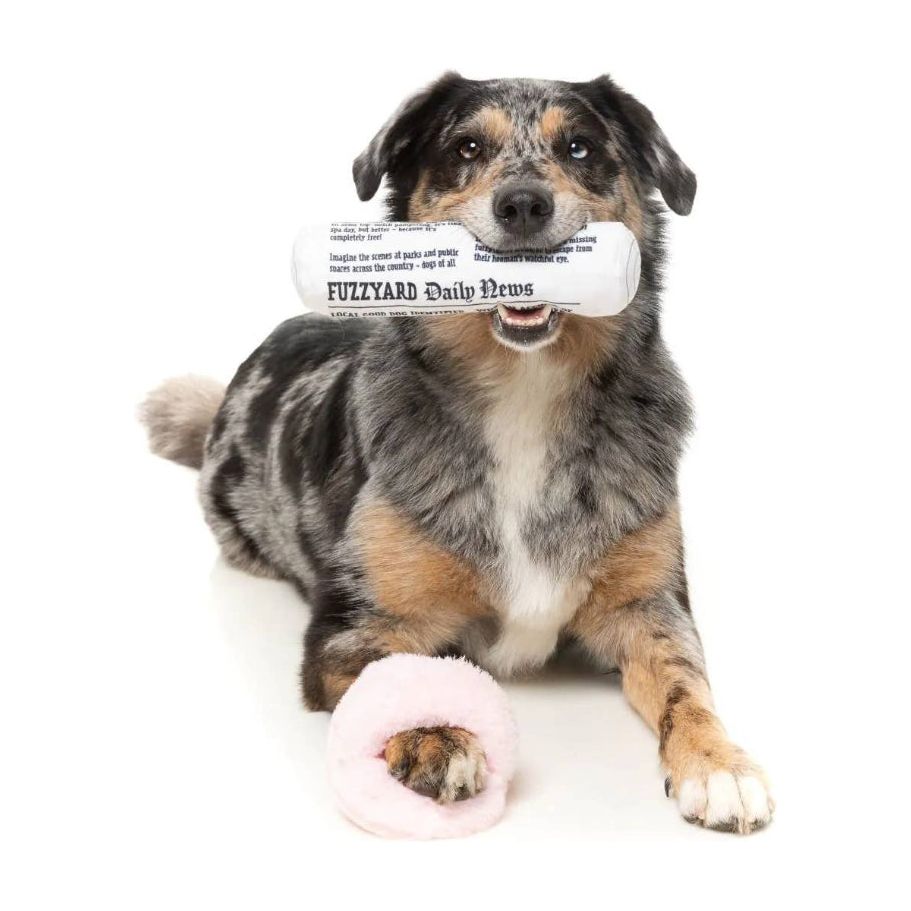 Fetch My Slippers & Paper Squeaky Plush Dog Toy Set - 2pk