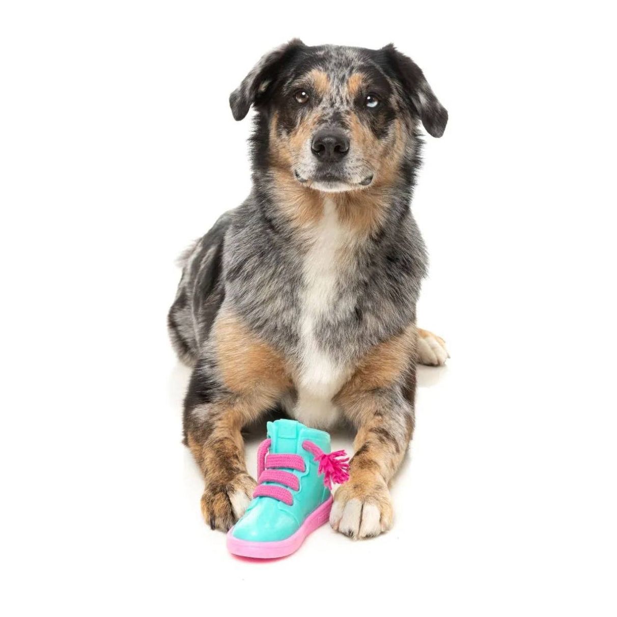 Fresh Kicks N' Licks Teal and Pink Chew Dog Toy