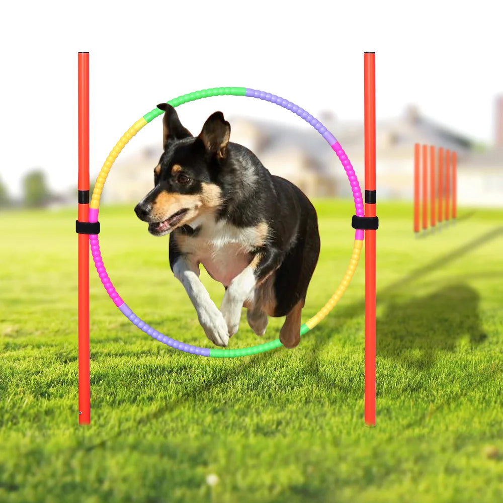 dsers Dog Agility Training Set with Adjustable Obstacles - pet exercise equip - THRIXINE