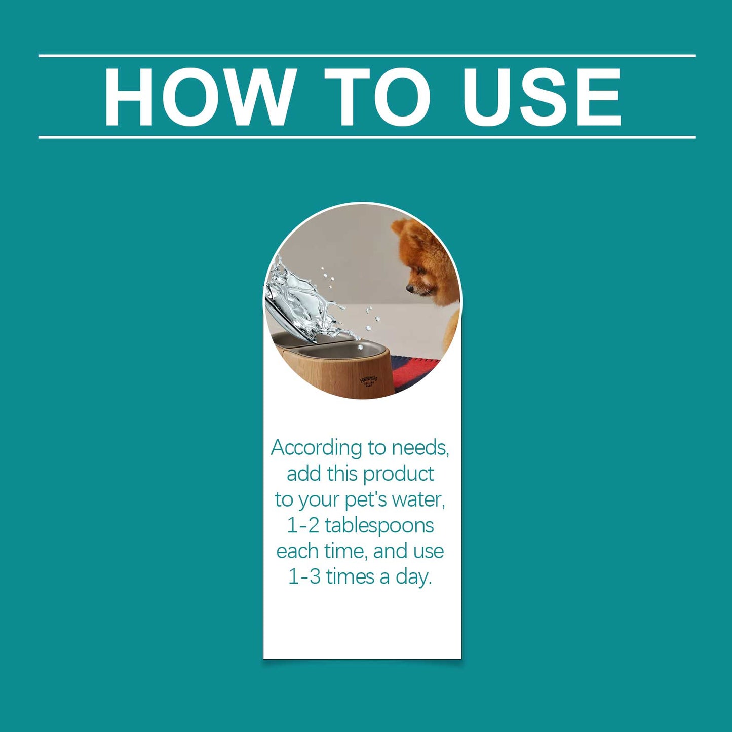 Guide on using dog breath freshener mouthwash mixed with pet's water for optimal results