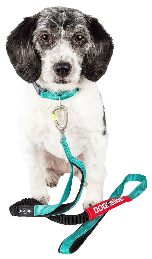 Dog Helios ® 'Neo-Indestructible' 2-in-1 Accordion Dog Collar and Leash