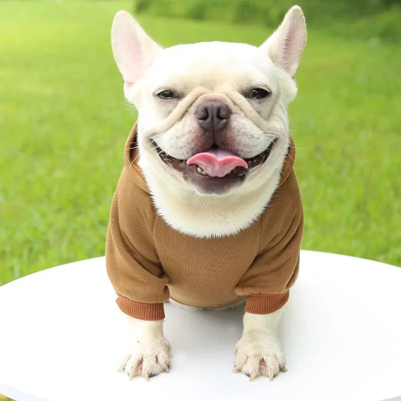 My Store Red Dog Hooded Sweater Cozy Pet Clothing - pet clothing - THRIXINE