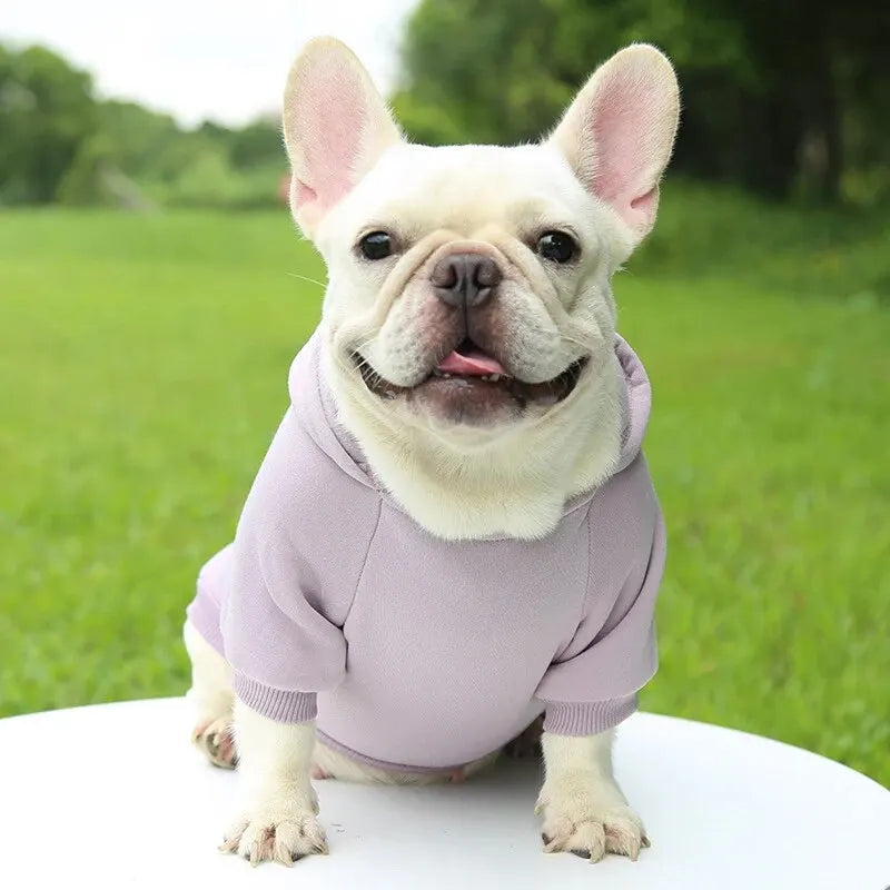 My Store Red Dog Hooded Sweater Cozy Pet Clothing - pet clothing - THRIXINE