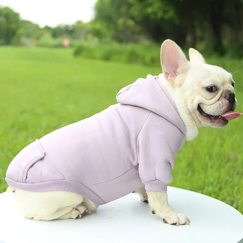 My Store Red Dog Hooded Sweater Cozy Pet Clothing - pet clothing - THRIXINE