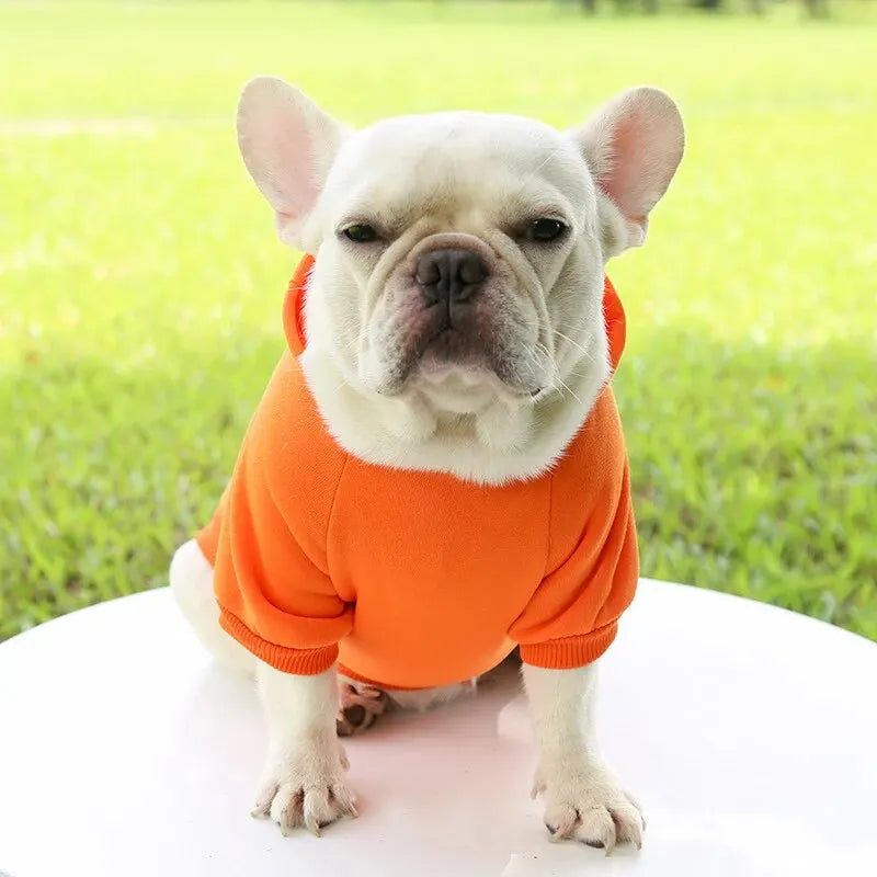 My Store Red Dog Hooded Sweater Cozy Pet Clothing - pet clothing - THRIXINE