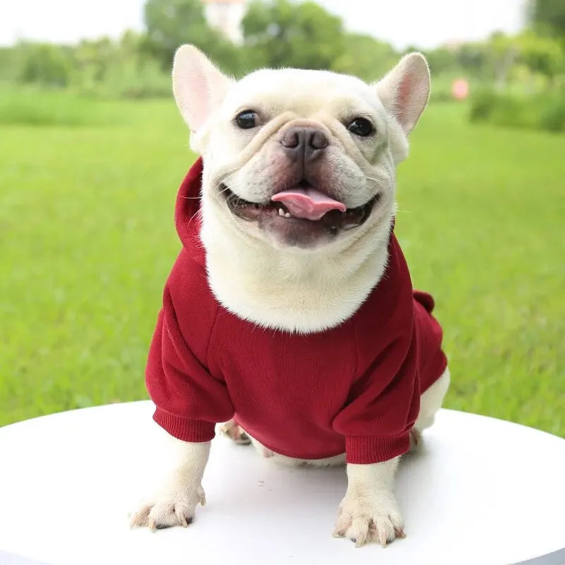 My Store Red Dog Hooded Sweater Cozy Pet Clothing - pet clothing - THRIXINE