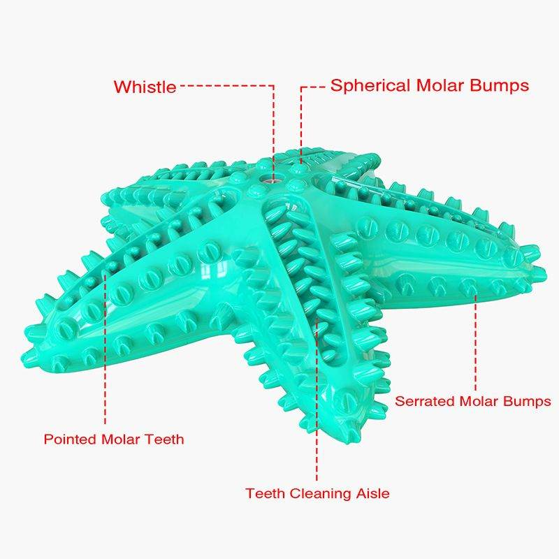 Purrfect Pet Kingdom Dog Teeth Cleaning Chew Toy Purrfect Pet Kingdom