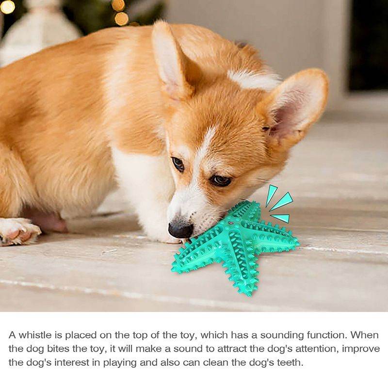 Purrfect Pet Kingdom Dog Teeth Cleaning Chew Toy Purrfect Pet Kingdom