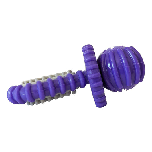 Purrfect Pet Kingdom dog teeth cleaning toy with ridges in purple for effective dental care and fun playtime