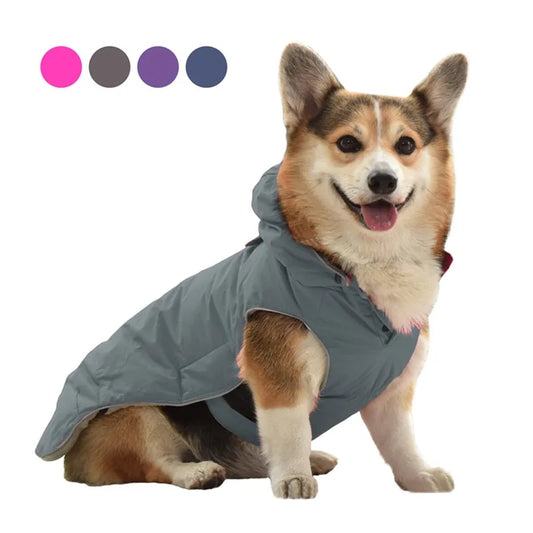 Cozy Winter Pet Harness - Winter Pet Coat - Ameraeon