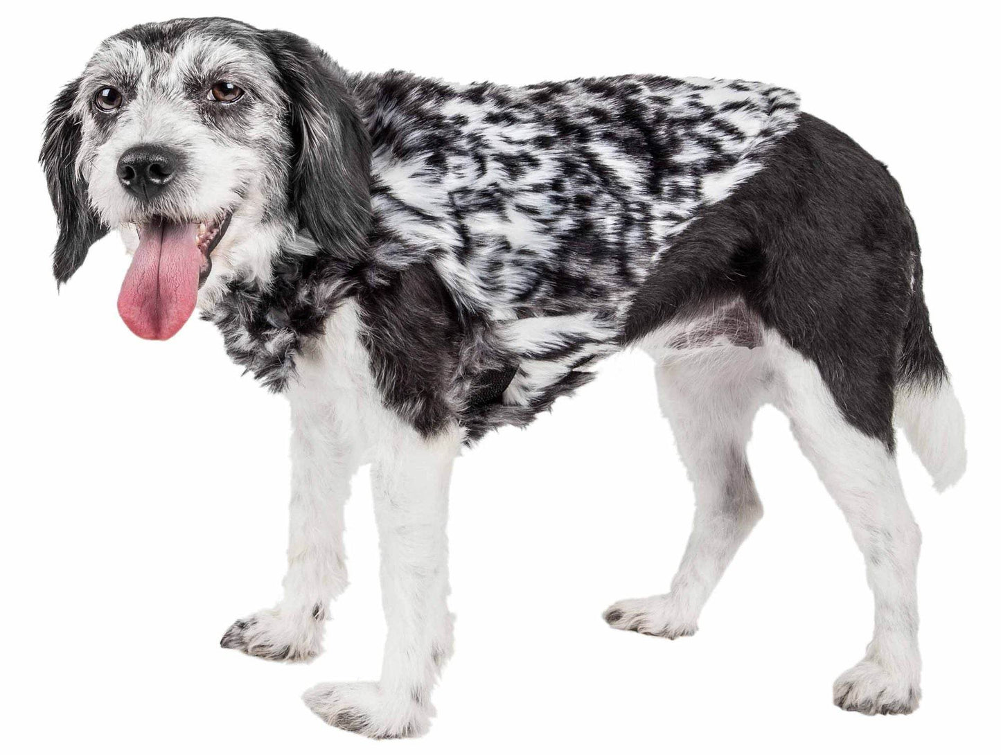 Purrfect Pet Kingdom Premium Dog Coat for Dogs - Stylish and Comfortable Apparel Large Purrfect Pet Kingdom