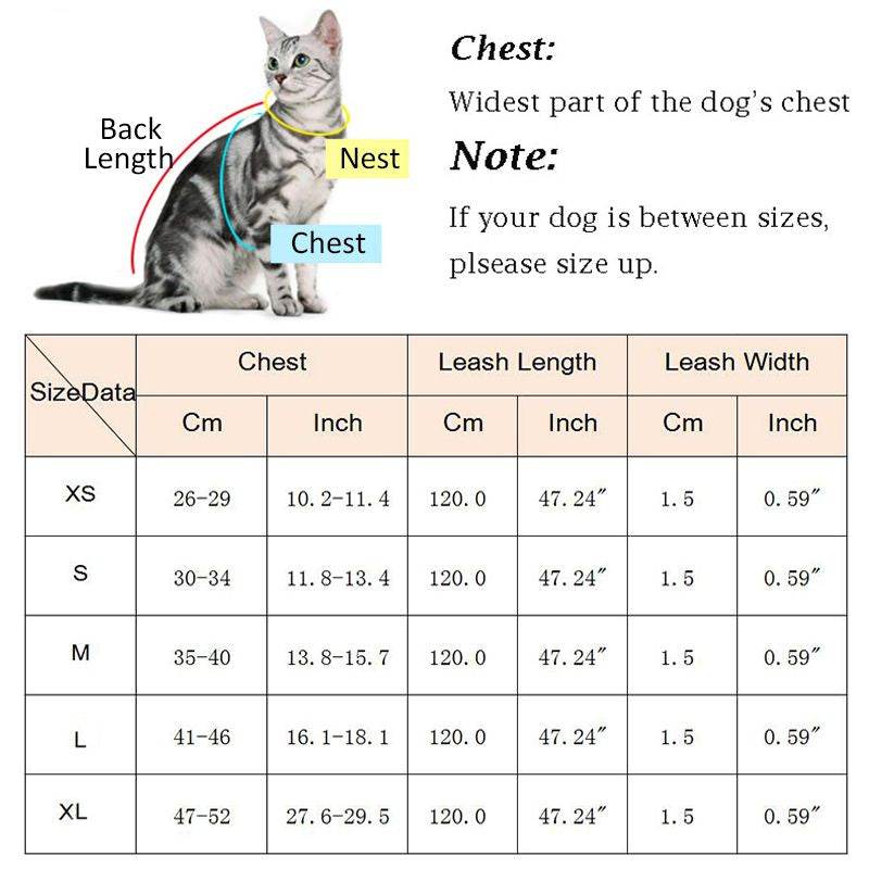 Purrfect Pet Kingdom Cat Harness and Leash Set, Adjustable No-Pull Purrfect Pet Kingdom