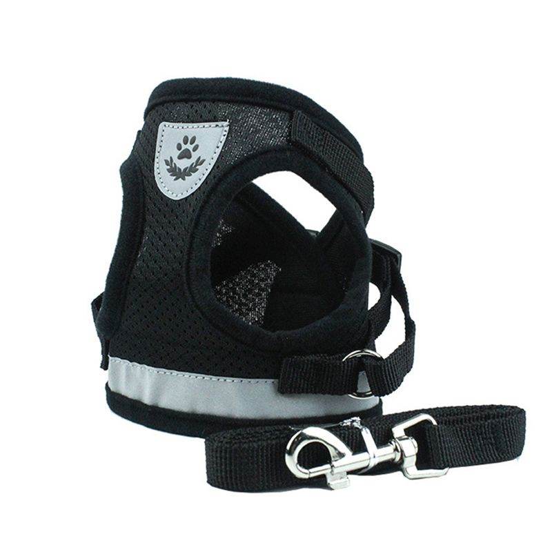 Purrfect Pet Kingdom Cat Harness and Leash Set, Adjustable No-Pull Purrfect Pet Kingdom