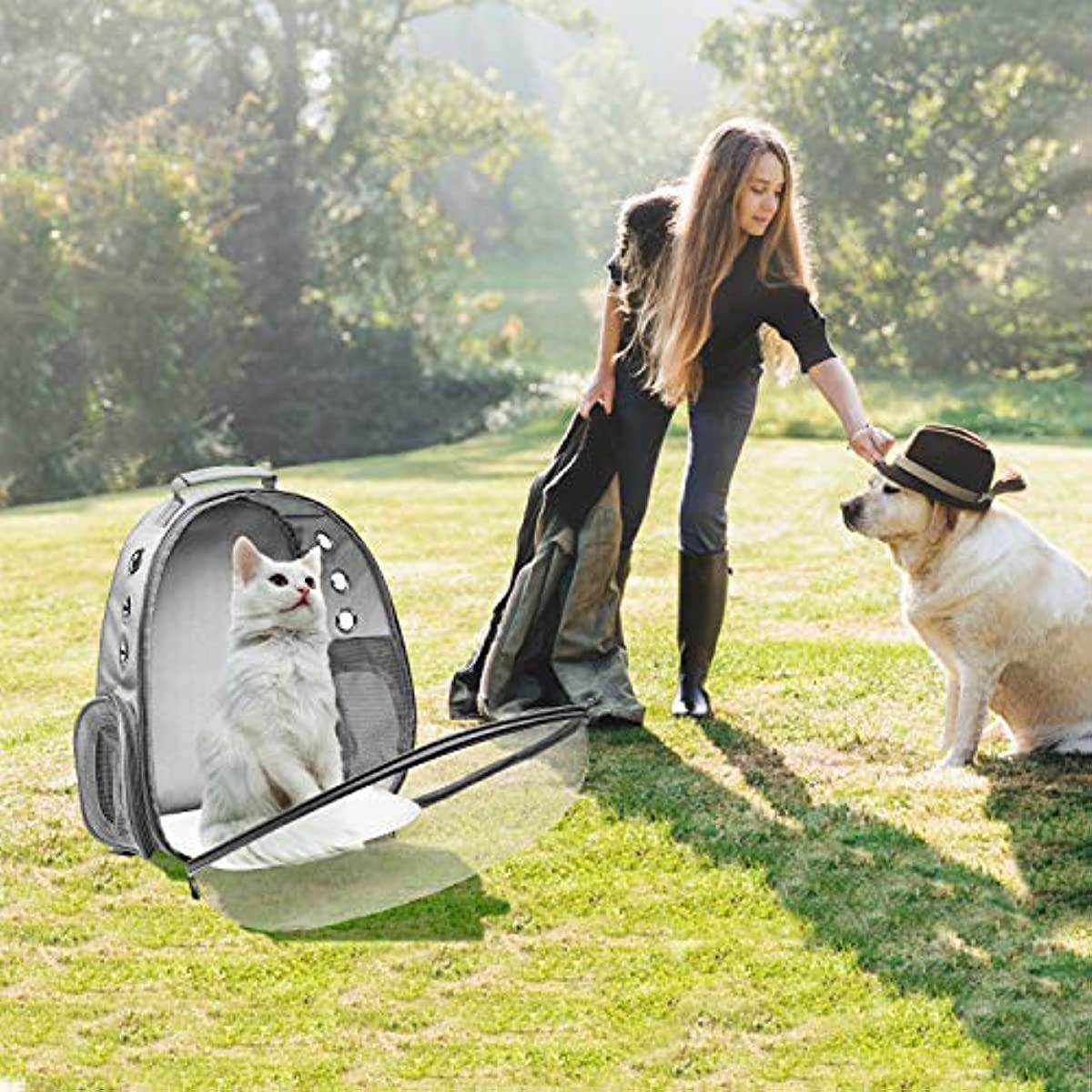 Purrfect Pet Kingdom Cat Astronaut Backpack for Travel - Purrfect Pet Kingdom