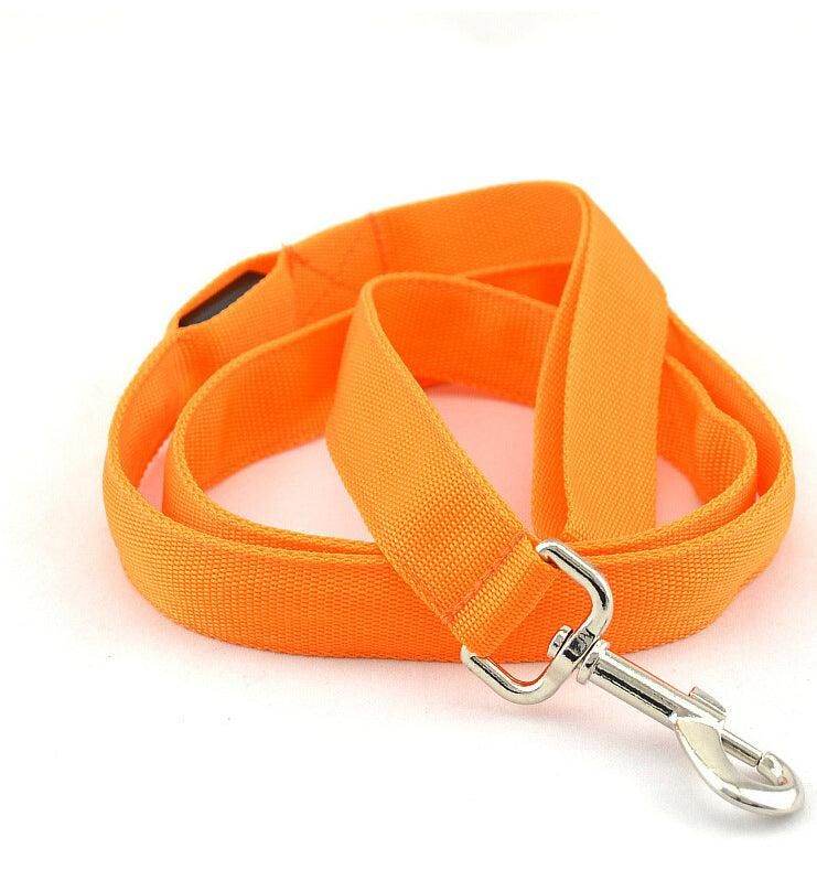 LED Pet Leash: Elevate Safety & Style with the Royal Glow! Purrfect Pet Kingdom