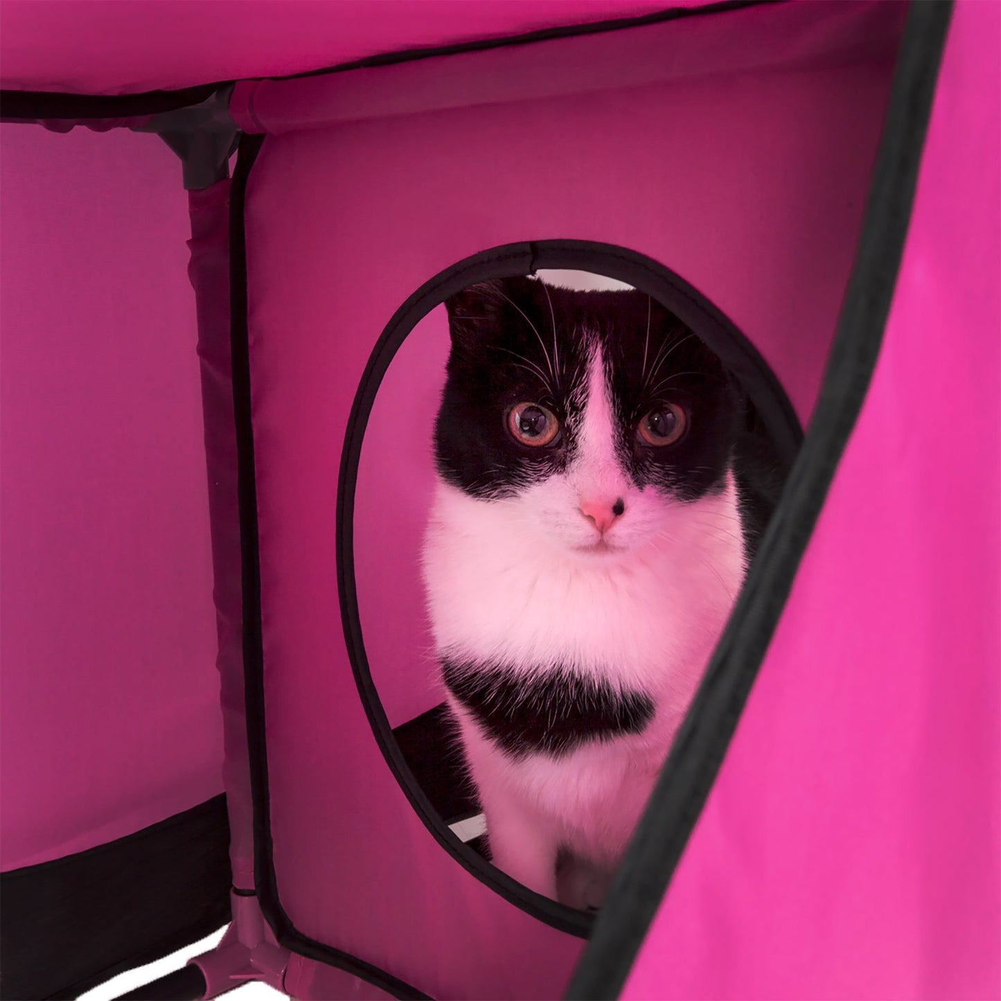 Purrfect Pet Kingdom Collapsible Cat House with Tunnel Purrfect Pet Kingdom