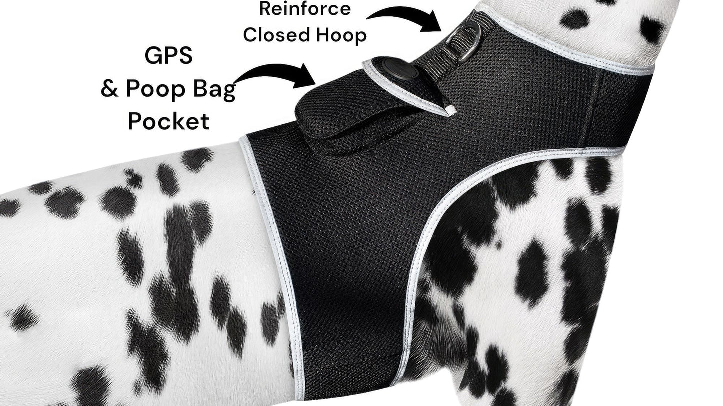 Pet Realtime Surveillance w/ Pet Tracker GPS Tracking Chip for Dogs + App Size:M - Pet GPS Tracking Collar - Berry Charmz