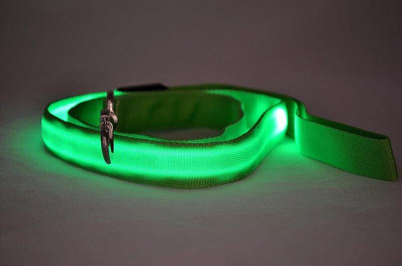LED Pet Leash: Elevate Safety & Style with the Royal Glow! Purrfect Pet Kingdom