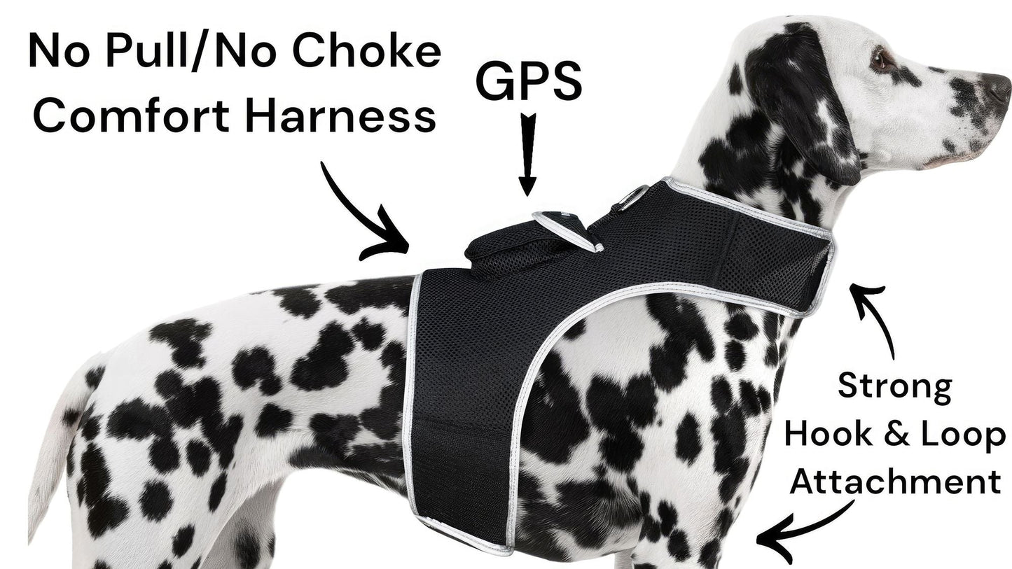 Collar Rechargeable Portable GPS Tracking Devices for Pets GSM Locator Size:S - Pet GPS Tracking Collar - Berry Charmz