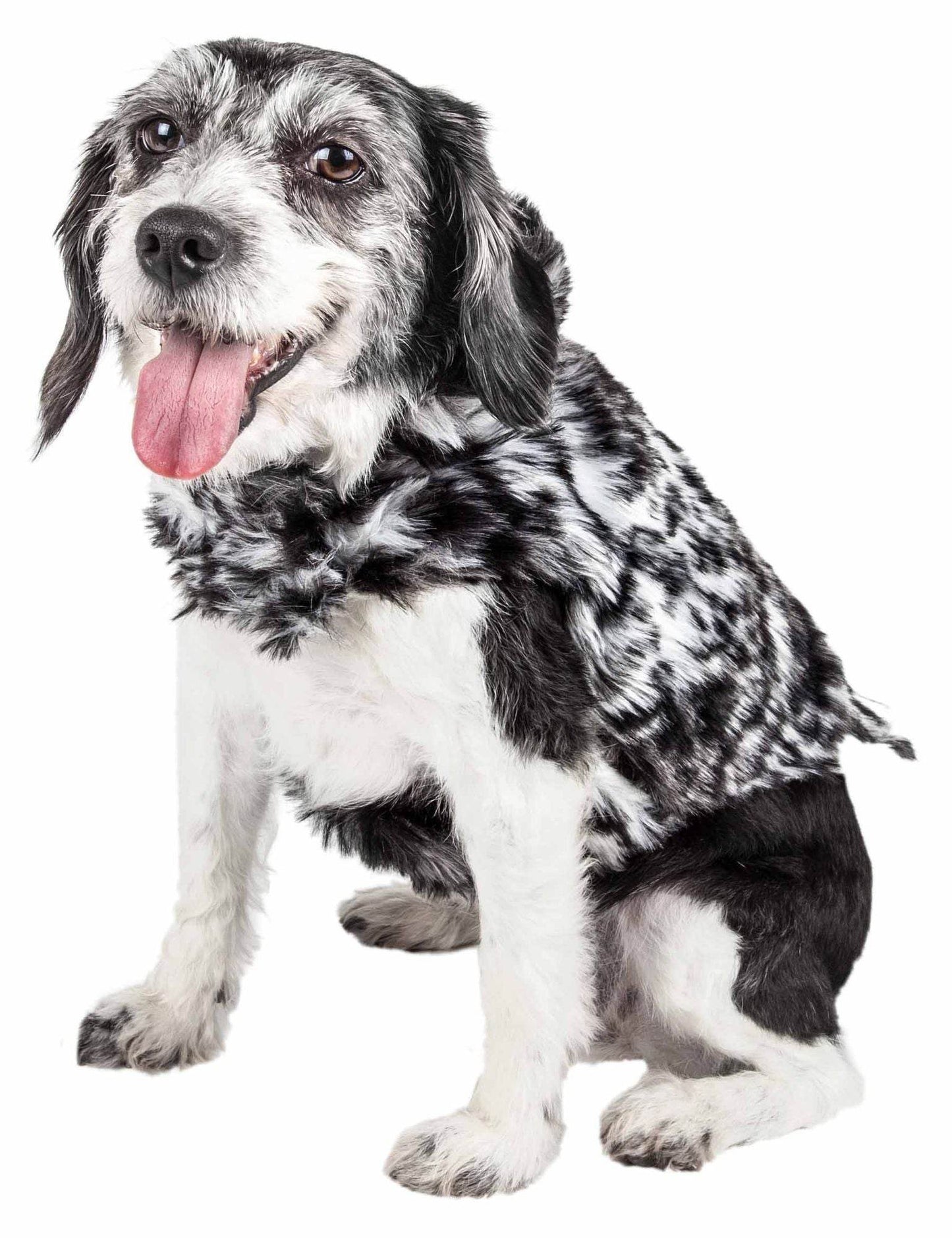 Purrfect Pet Kingdom Premium Dog Coat for Dogs - Stylish and Comfortable Apparel Purrfect Pet Kingdom