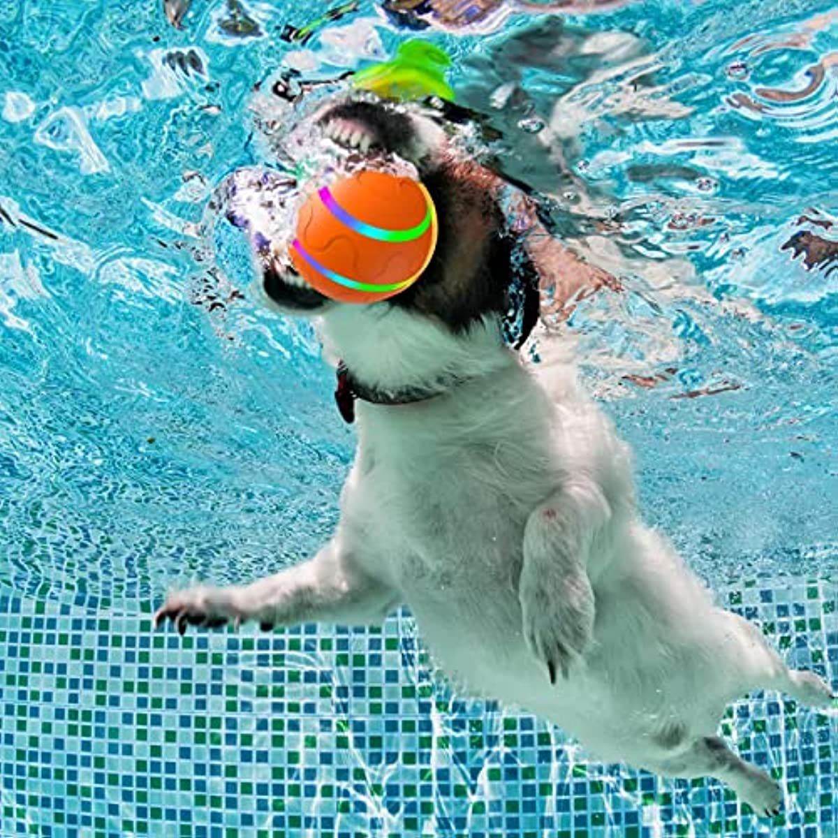 Purrfect Pet Kingdom Interactive Rolling Ball for Pets Purrfect Pet Kingdom