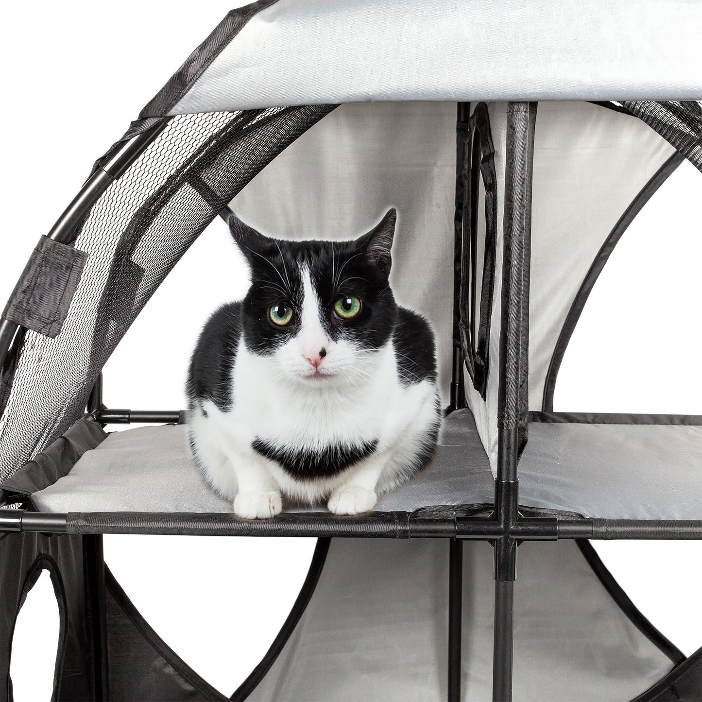 Purrfect Pet Kingdom Collapsible Cat House with Tunnel Purrfect Pet Kingdom